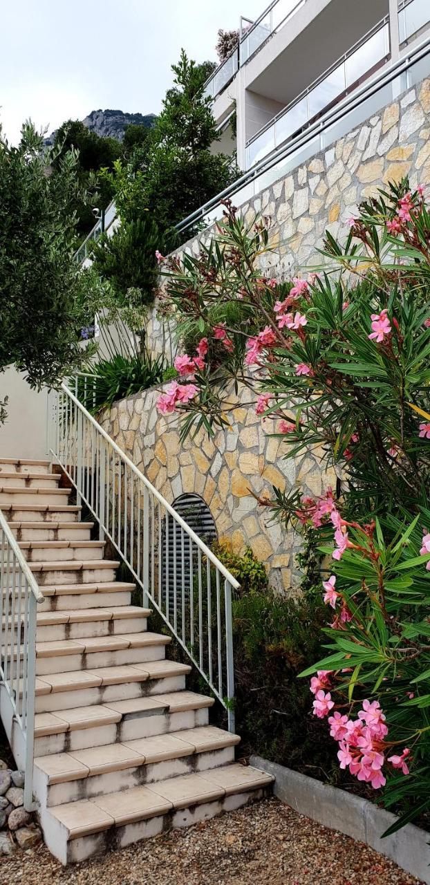 شقة La Terrazza Di Monaco كاب داي المظهر الخارجي الصورة